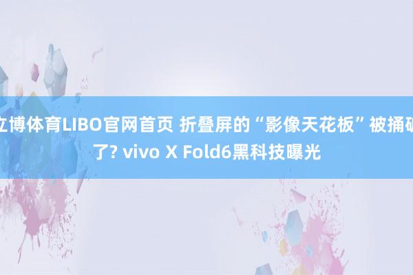 立博体育LIBO官网首页 折叠屏的“影像天花板”被捅破了? vivo X Fold6黑科技曝光