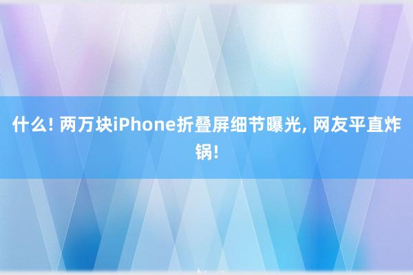 什么! 两万块iPhone折叠屏细节曝光， 网友平直炸锅!