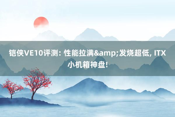 铠侠VE10评测: 性能拉满&发烧超低， ITX小机箱神盘!