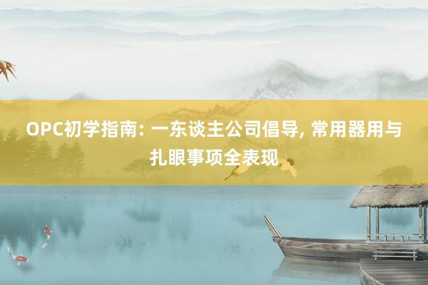 OPC初学指南: 一东谈主公司倡导， 常用器用与扎眼事项全表现