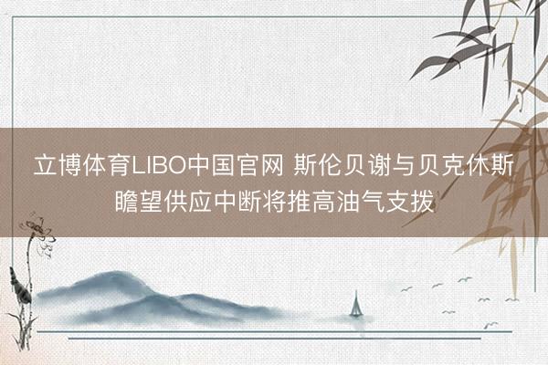 立博体育LIBO中国官网 斯伦贝谢与贝克休斯瞻望供应中断将推高油气支拨