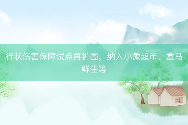 行状伤害保障试点再扩围，纳入小象超市、盒马鲜生等